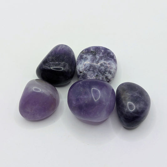 Amethyst Tumbled Stone - 20-30mm