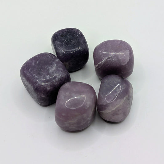 Lepidolite Tumbled Stone - 20-30mm