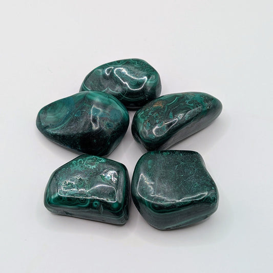 Malachite Tumbled Stone - 20-30mm