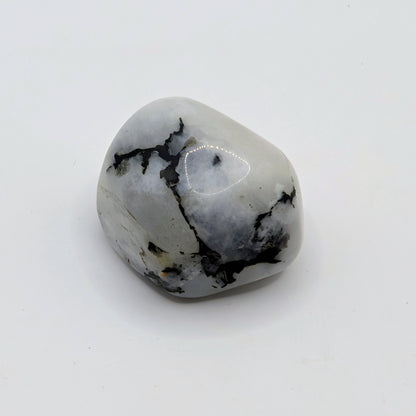 Rainbow Moonstone Tumbled Stone - 20-30mm