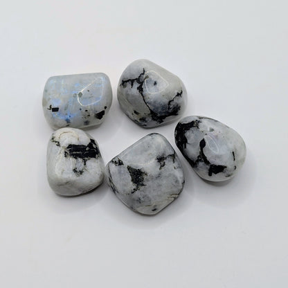 Rainbow Moonstone Tumbled Stone - 20-30mm