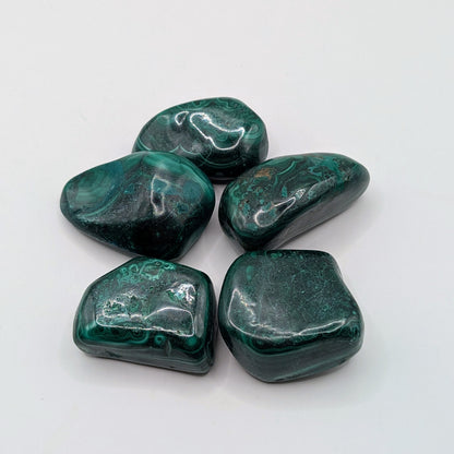 Malachite Tumbled Stone - 20-30mm