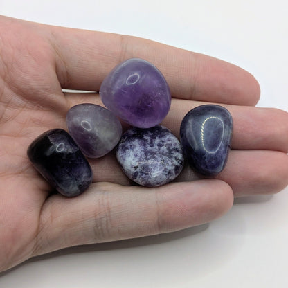 Amethyst Trommelstein - 20-30mm - FastCrystals