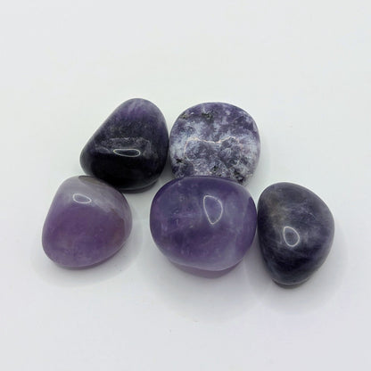 Amethyst Trommelstein - 20-30mm - FastCrystals