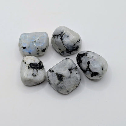 Regenbogen Mondstein Trommelstein - 20-30mm - FastCrystals